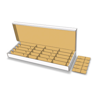 Standard-Short-Body-3D