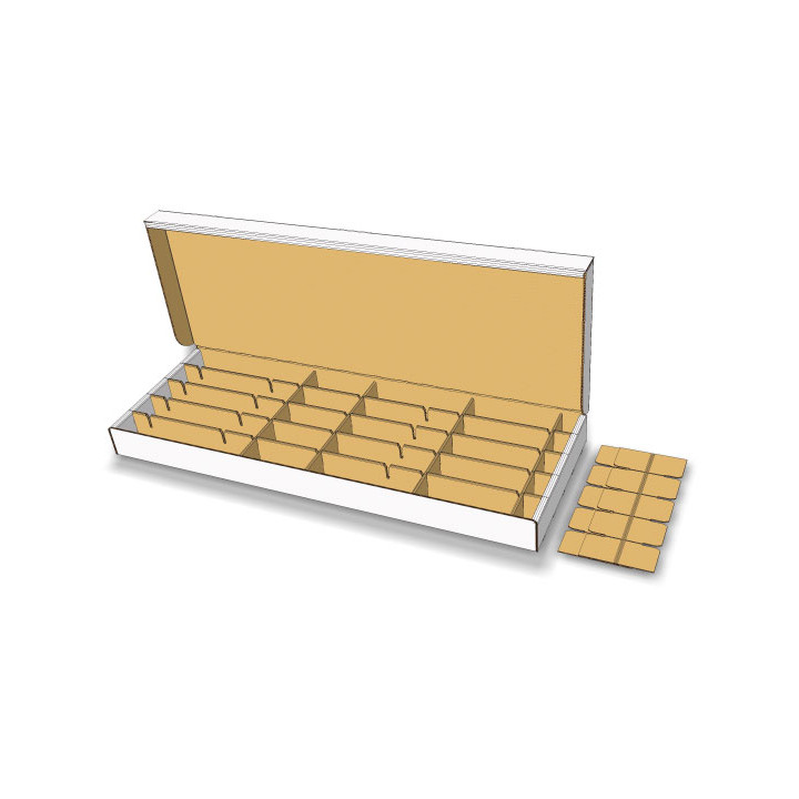 Standard-Short-Body-3D